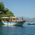 فيلة Truva