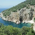 Truva فيلة *