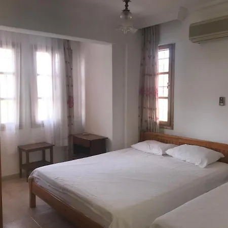 图卢瓦别墅 费特希耶