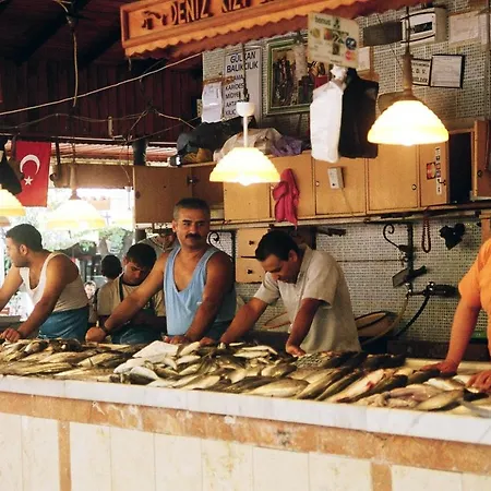 别墅 图卢瓦别墅 *