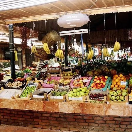 图卢瓦别墅 别墅