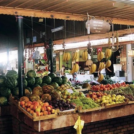 别墅 图卢瓦别墅 *