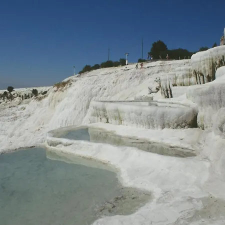 别墅 图卢瓦别墅 *