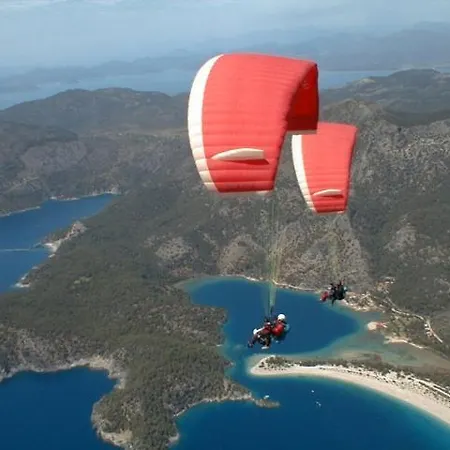 别墅 图卢瓦别墅 *