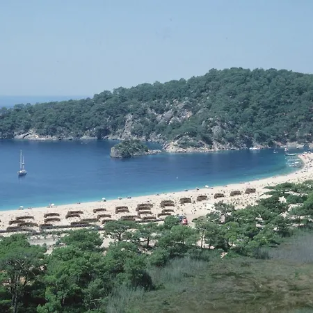 图卢瓦别墅 别墅