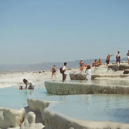 别墅 图卢瓦别墅 *