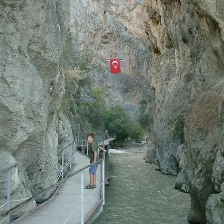 图卢瓦别墅 费特希耶