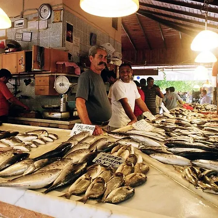 图卢瓦别墅 别墅