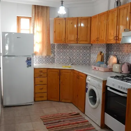 图卢瓦别墅 别墅