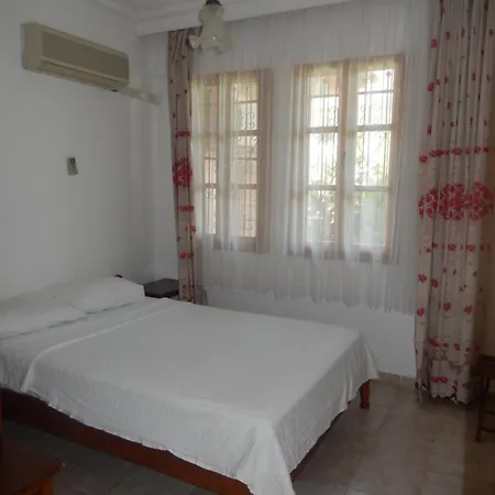 图卢瓦别墅 费特希耶