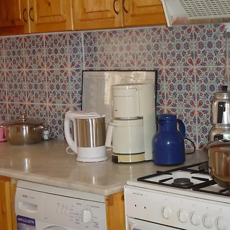 图卢瓦别墅 费特希耶