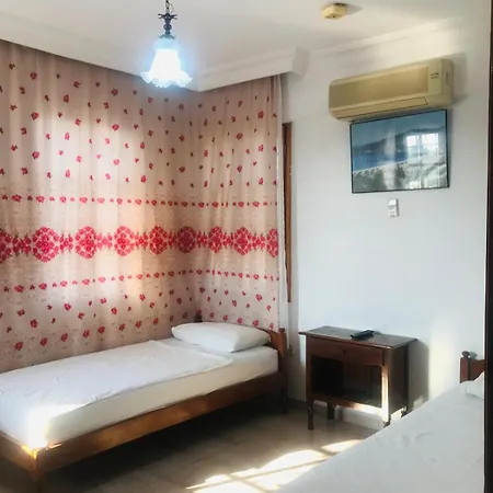 图卢瓦别墅 别墅