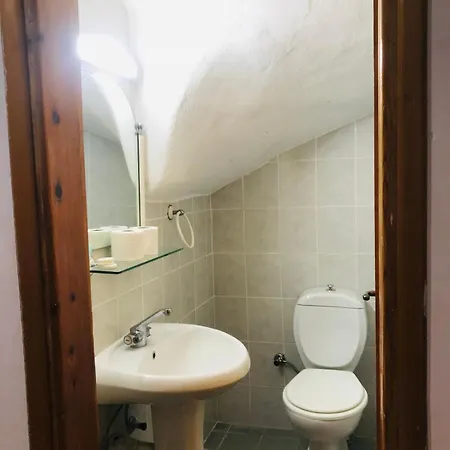 图卢瓦别墅 别墅 费特希耶