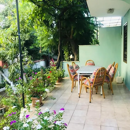 别墅 图卢瓦别墅 费特希耶