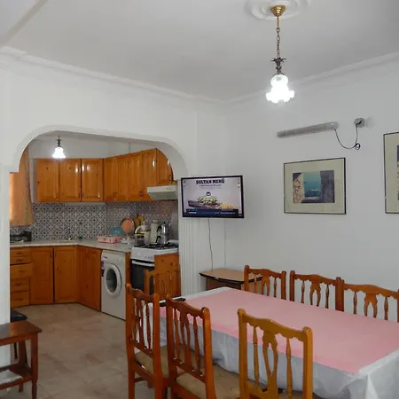 图卢瓦别墅 费特希耶