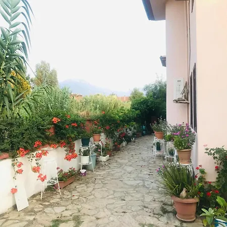 图卢瓦别墅 * 费特希耶