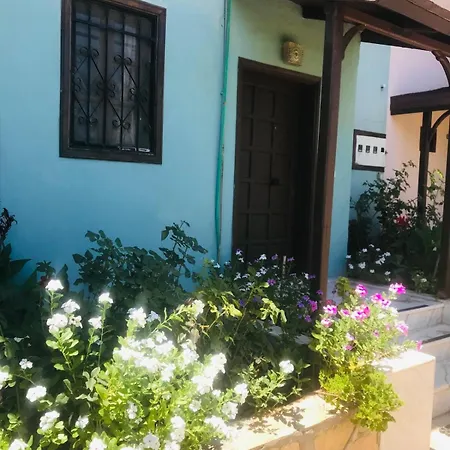 别墅 图卢瓦别墅 费特希耶