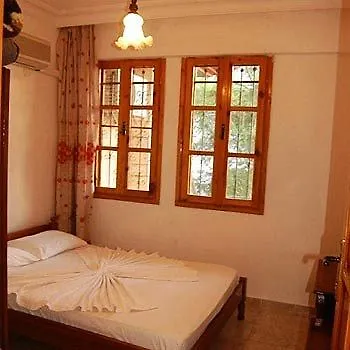 别墅 图卢瓦别墅 *